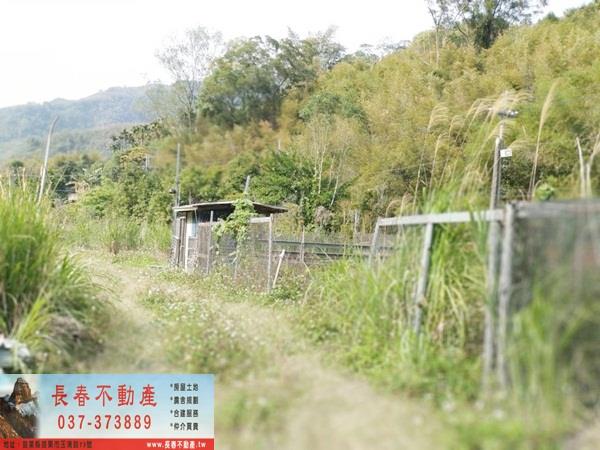苗栗廠辦-2