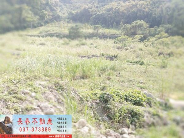 苗栗廠辦-3