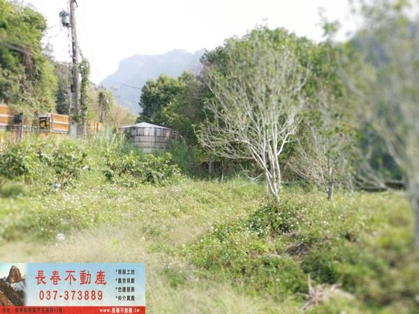 苗栗廠辦-4