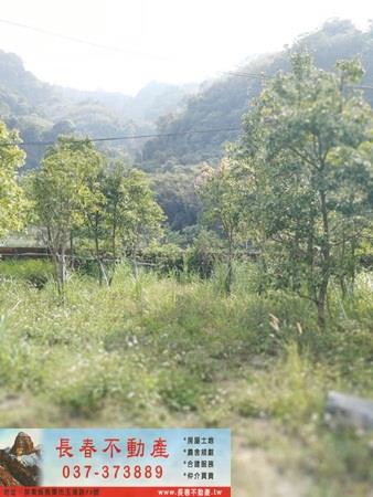 苗栗廠辦-7