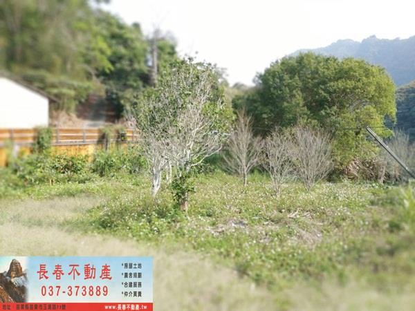 苗栗廠辦-8