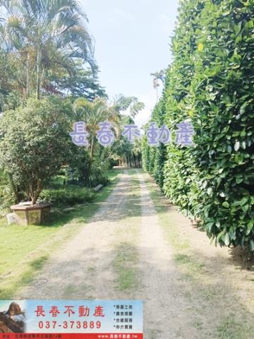 三灣農舍-4