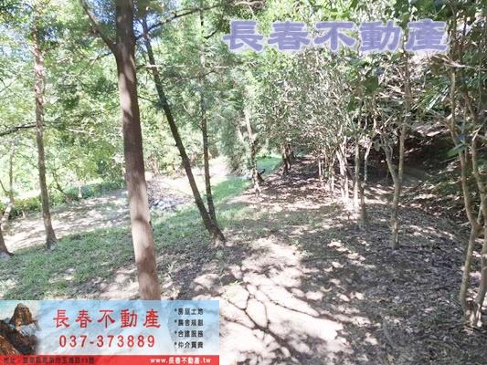 造橋透天-9
