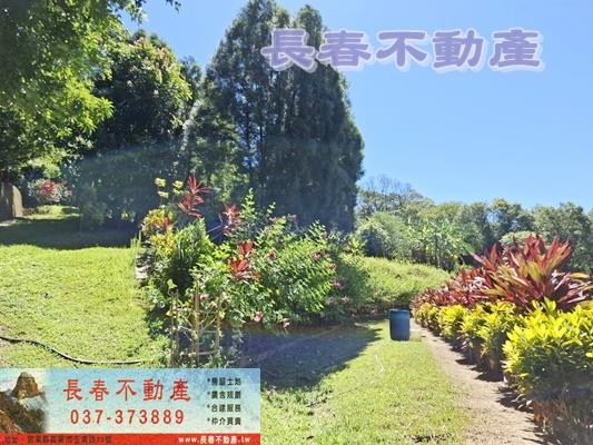 造橋透天-11