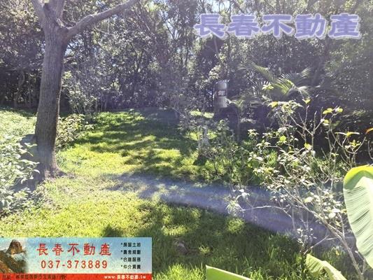 造橋透天-6