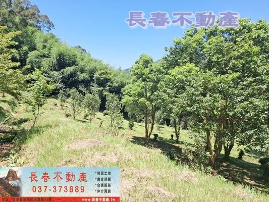 苗栗大湖農舍-12