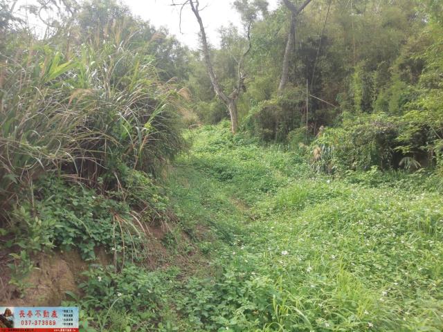 苗栗山坡地-0