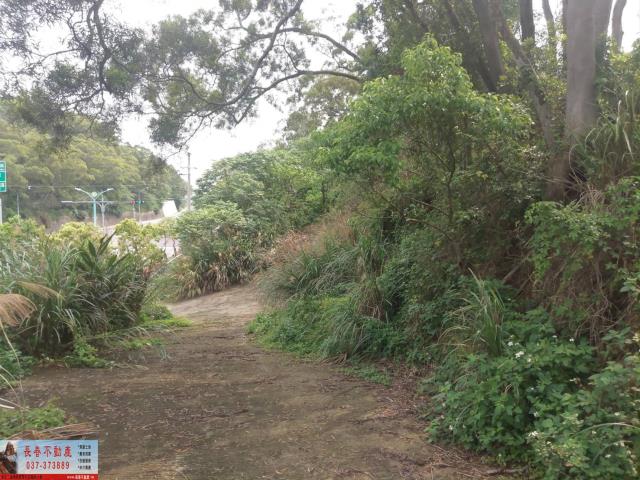 苗栗山坡地-3