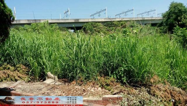 後龍農地-1
