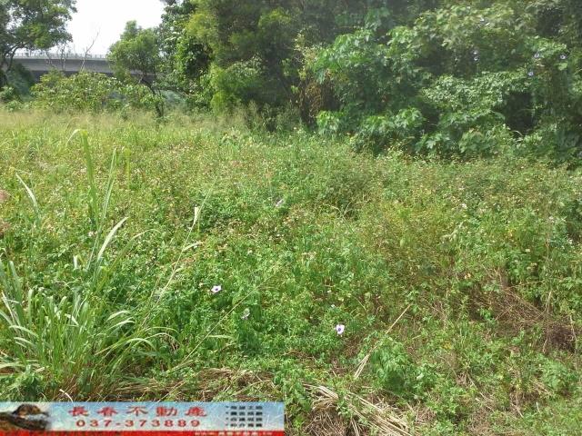 苗栗銅鑼農地-2
