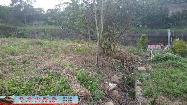 苗栗農地-2