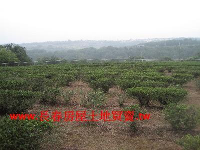 苗栗農地-1