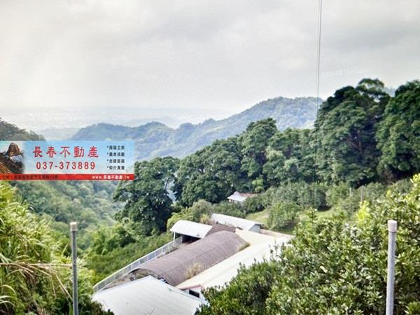公館林地-0