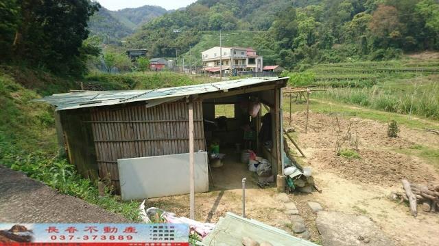 大湖農地-4