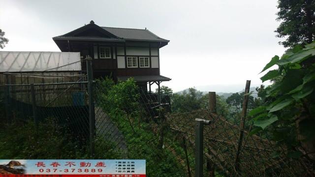南庄林地-0