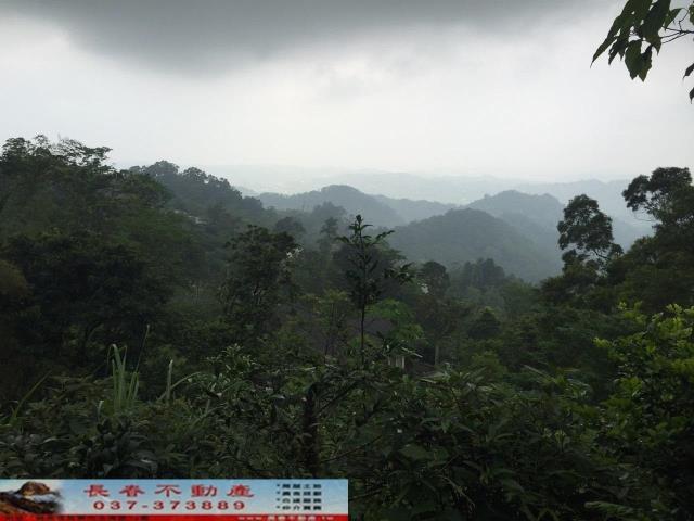 南庄林地-1
