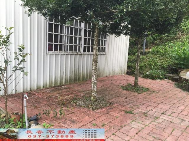 南庄林地-4