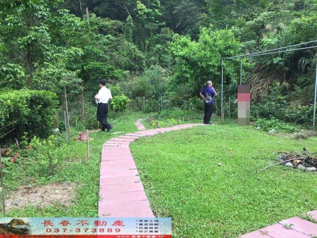 南庄林地-6