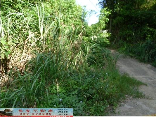 大湖農地-8