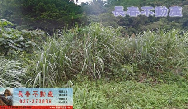 苗栗大湖農地-0