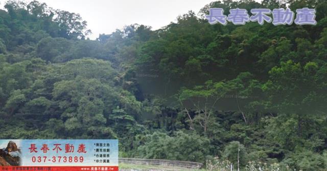 苗栗大湖農地-1
