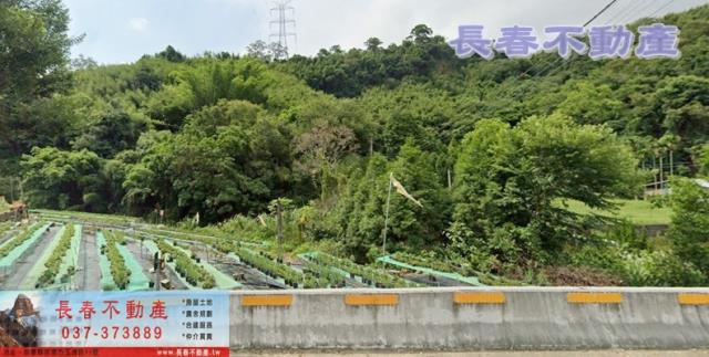 苗栗大湖農地-1