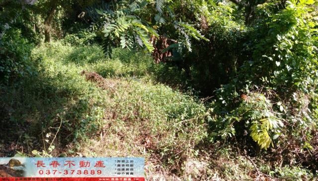 苗栗市農地-0