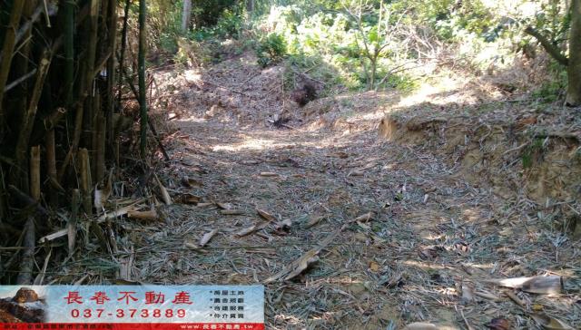 苗栗市農地-2