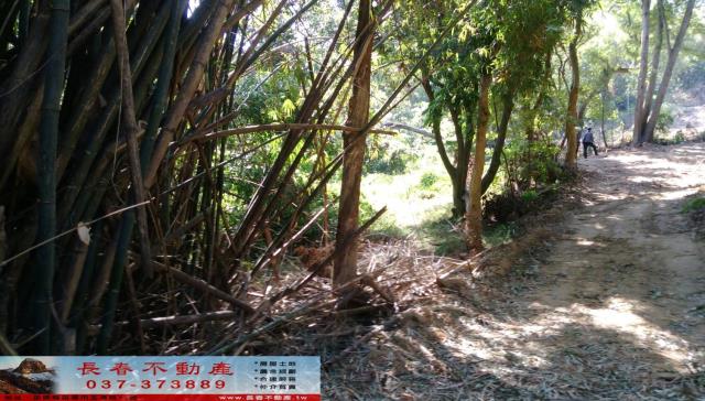 苗栗市農地-3