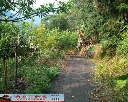 苗栗農地-1