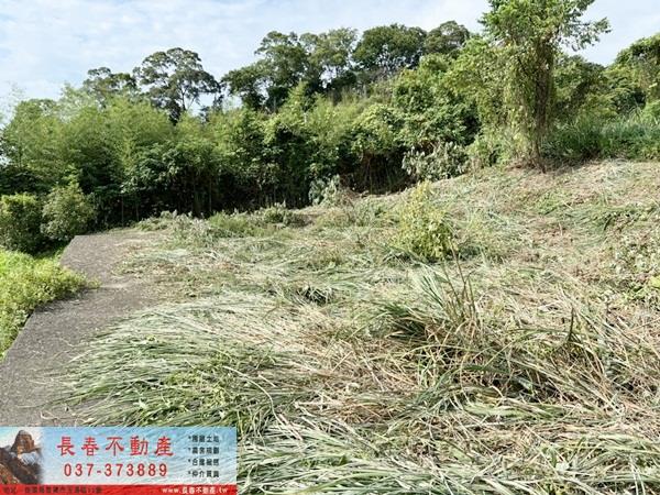 苗栗山坡地-3
