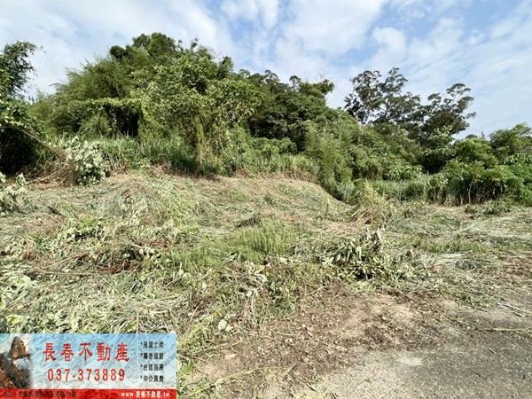 苗栗山坡地-4