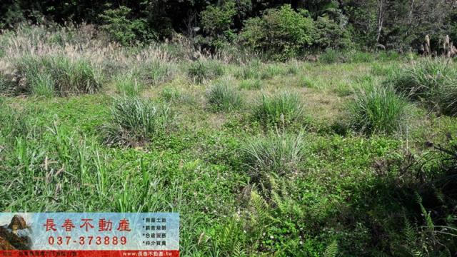 苗栗頭屋山坡地-0