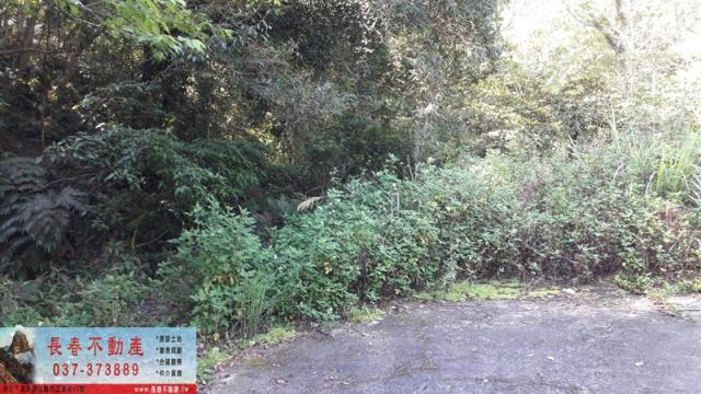 苗栗頭屋山坡地-1