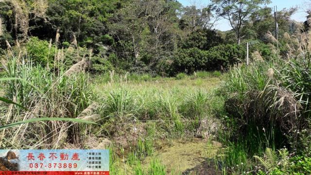 苗栗頭屋山坡地-2