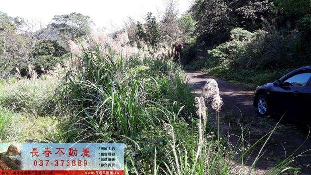 苗栗頭屋山坡地-3