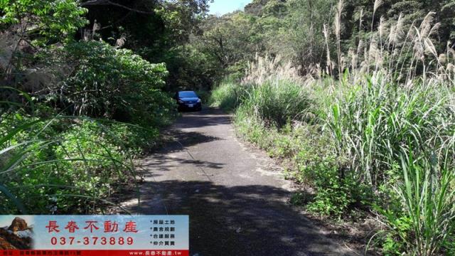 苗栗頭屋山坡地-4