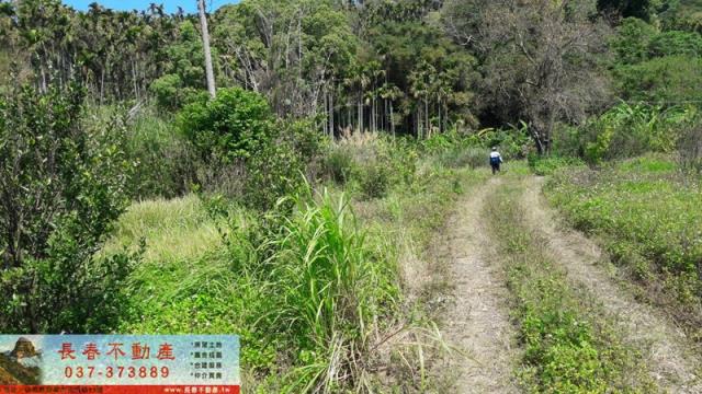 苗栗銅鑼山坡地-3