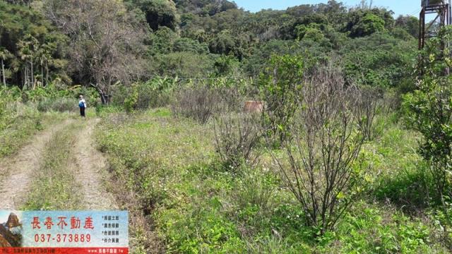 苗栗銅鑼山坡地-4