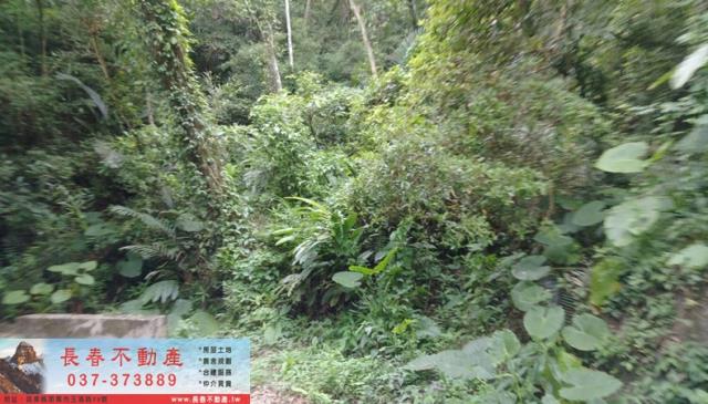 苗栗山坡地-0