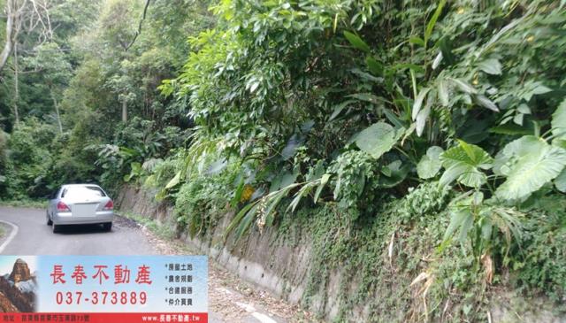 苗栗山坡地-2