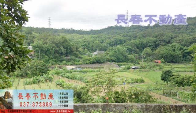 三義林地-0