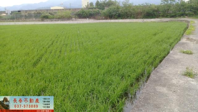 銅鑼農地-1