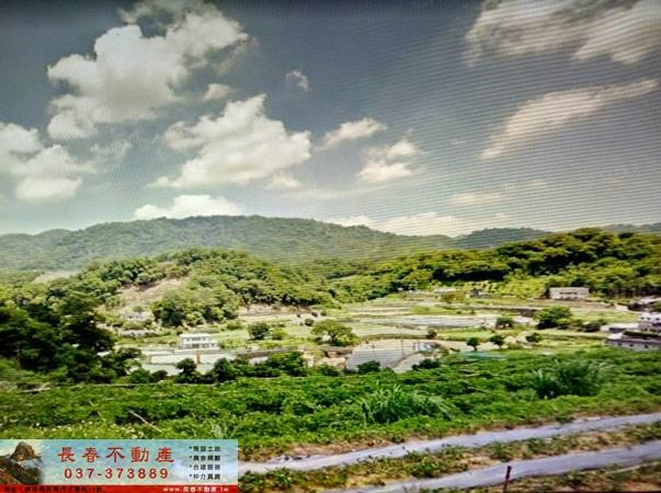 大湖農地-3