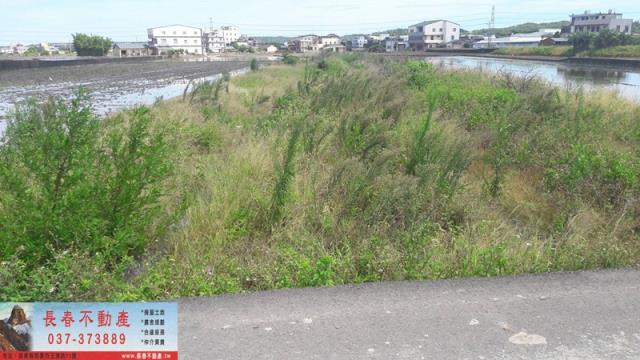 頭屋農地-0