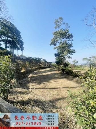 公館農地-2