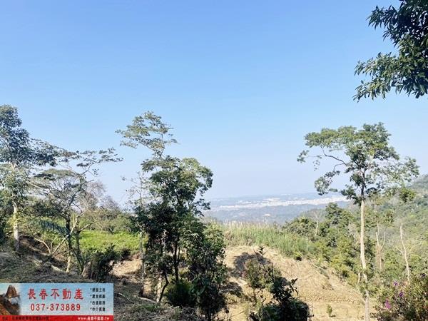 公館農地-3