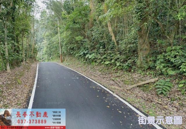 苗栗獅潭林地-0