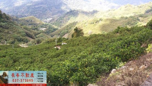苗栗建地-1