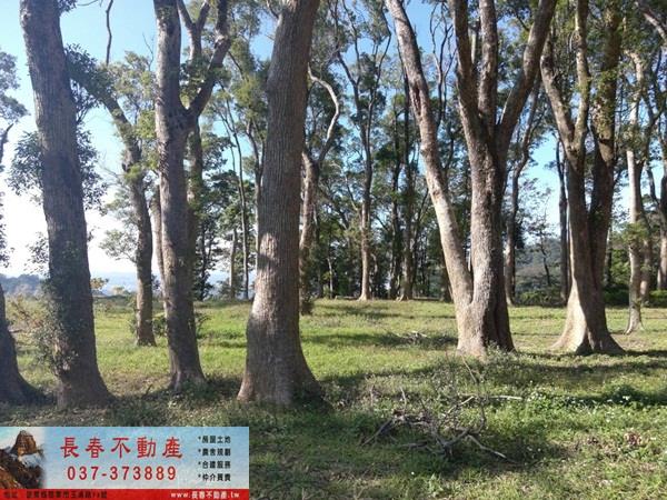 苗栗農地-2